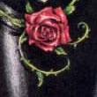 TOR